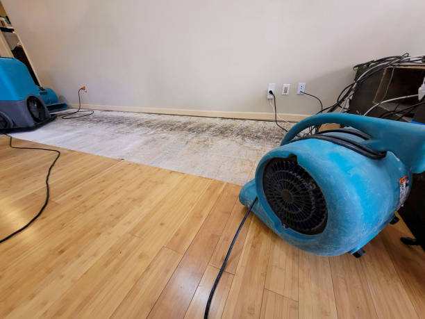 Professional Sewage Cleanup technician working in Kennedy, AL
